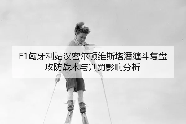 xiong-ya-li-zhan-han-mi-er-dun-wei-si-ta-pan-chan-dou-fu-pan-gong-fang-zhan-shu-yu-pan-fa-ying-xiang-fen-xi-2-710.jpg